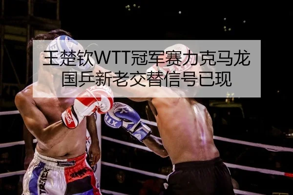 王楚钦WTT冠军赛力克马龙 国乒新老交替信号已现