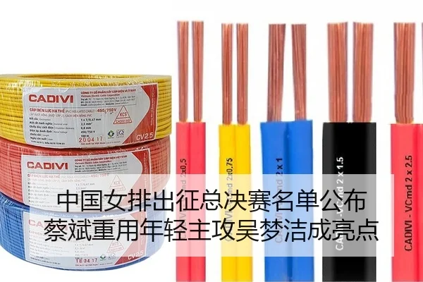 中国女排出征总决赛名单公布 蔡斌重用年轻主攻吴梦洁成亮点